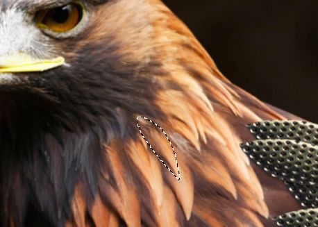 Creation of Metallic Eagle: Step 6